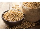 Is Soy a good protein source?